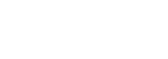 Need for Spin Casino Logo