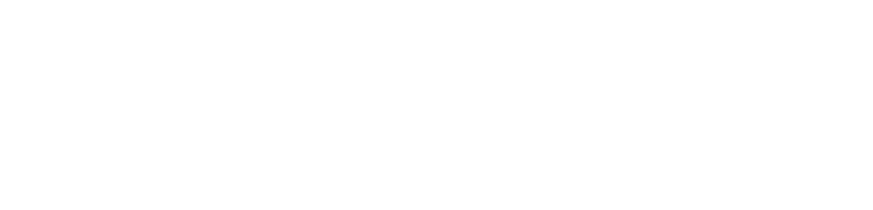 Platin Casino Logo